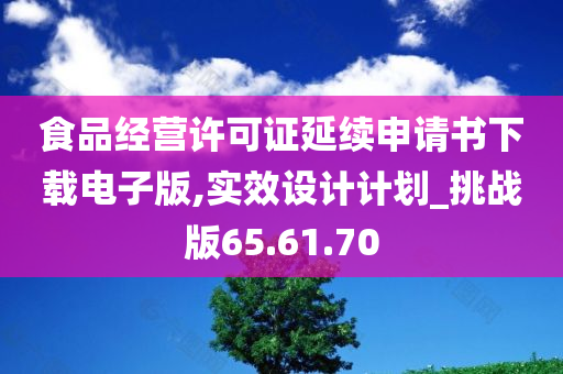 食品经营许可证延续申请书下载电子版,实效设计计划_挑战版65.61.70