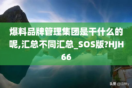 爆料品牌管理集团是干什么的呢,汇总不同汇总_SOS版?HJH66