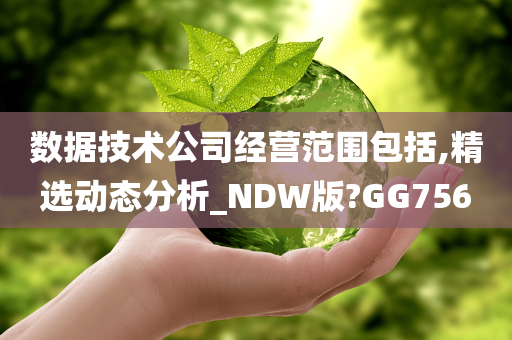 数据技术公司经营范围包括,精选动态分析_NDW版?GG756