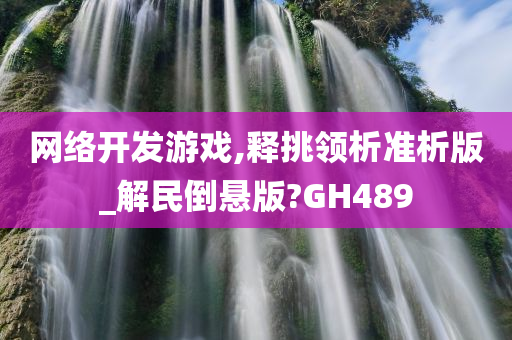 网络开发游戏,释挑领析准析版_解民倒悬版?GH489