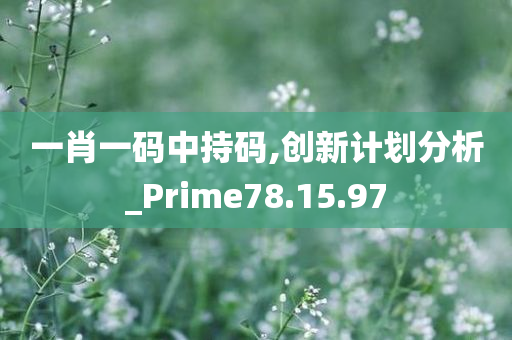 一肖一码中持码,创新计划分析_Prime78.15.97