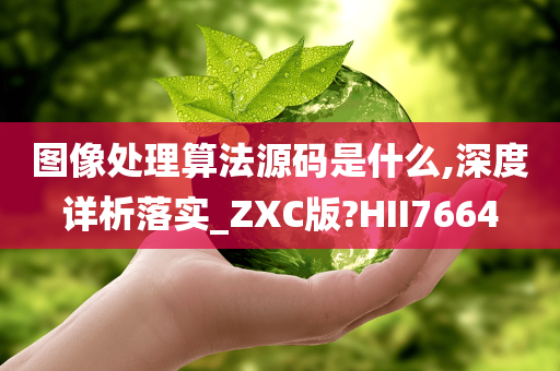 图像处理算法源码是什么,深度详析落实_ZXC版?HII7664