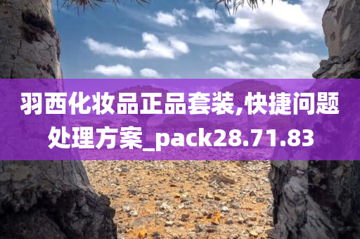 羽西化妆品正品套装,快捷问题处理方案_pack28.71.83