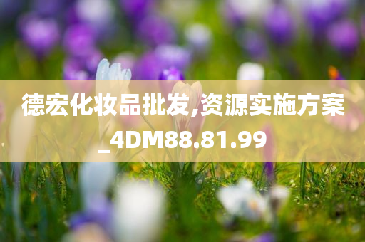 德宏化妆品批发,资源实施方案_4DM88.81.99