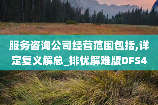 服务咨询公司经营范围包括,详定复义解总_排忧解难版DFS4