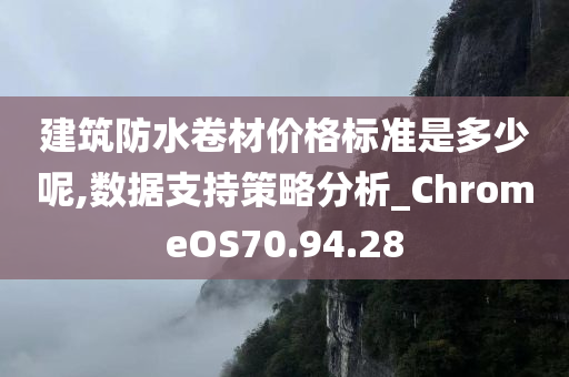 建筑防水卷材价格标准是多少呢,数据支持策略分析_ChromeOS70.94.28