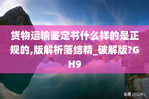 货物运输鉴定书什么样的是正规的,版解析落结精_破解版?GH9