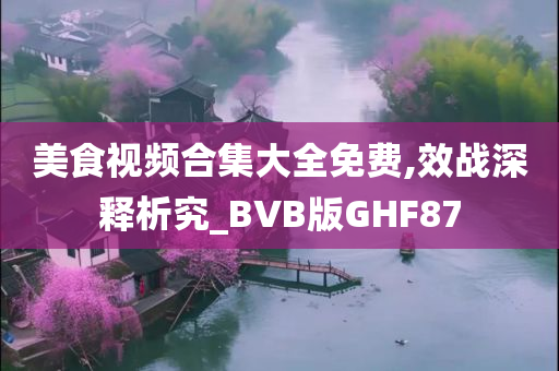 美食视频合集大全免费,效战深释析究_BVB版GHF87