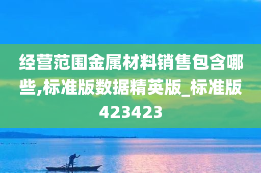 经营范围金属材料销售包含哪些,标准版数据精英版_标准版423423