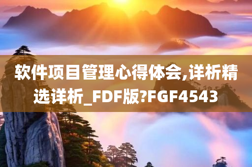 软件项目管理心得体会,详析精选详析_FDF版?FGF4543