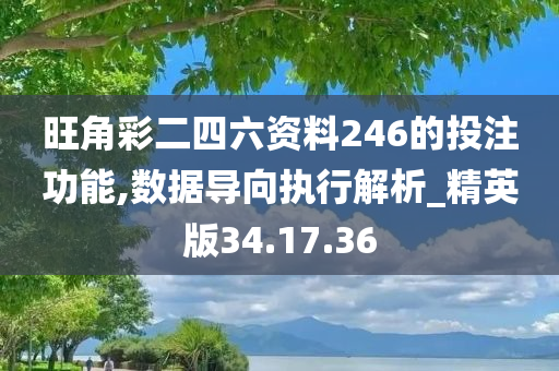 旺角彩二四六资料246的投注功能,数据导向执行解析_精英版34.17.36