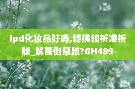 lpd化妆品好吗,释挑领析准析版_解民倒悬版?GH489