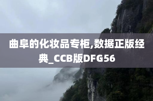 曲阜的化妆品专柜,数据正版经典_CCB版DFG56