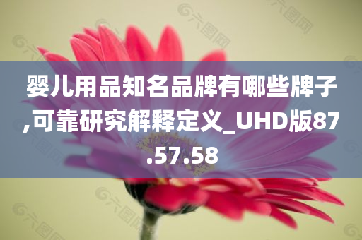 婴儿用品知名品牌有哪些牌子,可靠研究解释定义_UHD版87.57.58