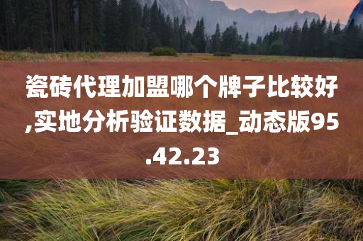 瓷砖代理加盟哪个牌子比较好,实地分析验证数据_动态版95.42.23