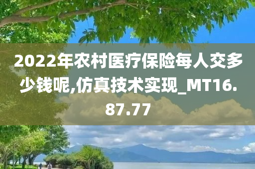 2022年农村医疗保险每人交多少钱呢,仿真技术实现_MT16.87.77