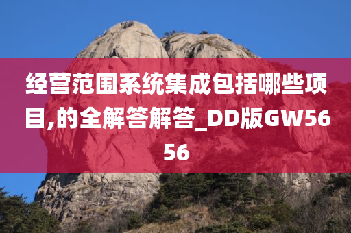 经营范围系统集成包括哪些项目,的全解答解答_DD版GW5656