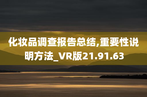 化妆品调查报告总结,重要性说明方法_VR版21.91.63