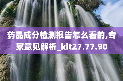 药品成分检测报告怎么看的,专家意见解析_kit27.77.90