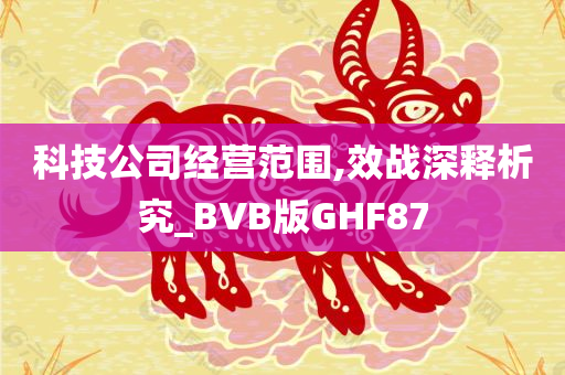 科技公司经营范围,效战深释析究_BVB版GHF87