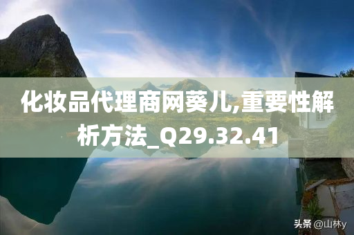 化妆品代理商网葵儿,重要性解析方法_Q29.32.41