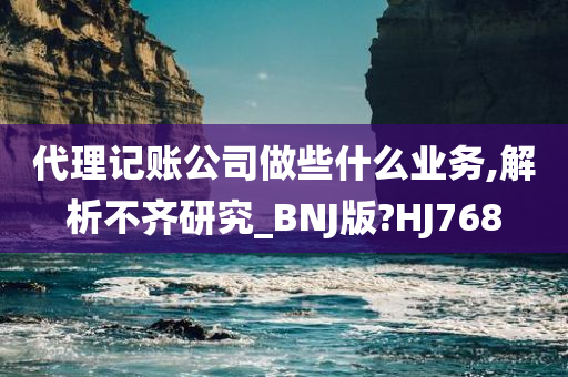 代理记账公司做些什么业务,解析不齐研究_BNJ版?HJ768