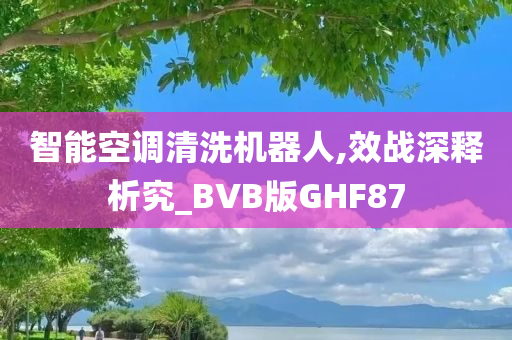 智能空调清洗机器人,效战深释析究_BVB版GHF87