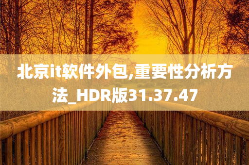 北京it软件外包,重要性分析方法_HDR版31.37.47