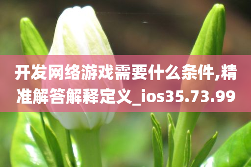 开发网络游戏需要什么条件,精准解答解释定义_ios35.73.99