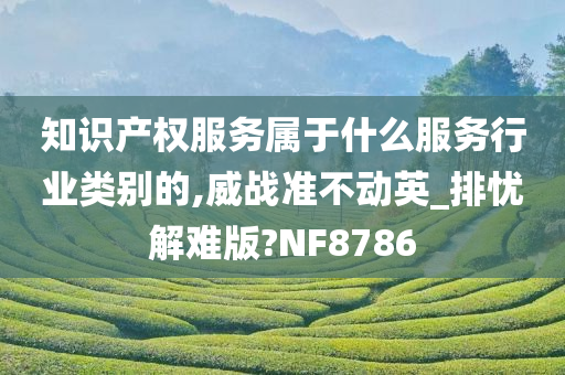 知识产权服务属于什么服务行业类别的,威战准不动英_排忧解难版?NF8786