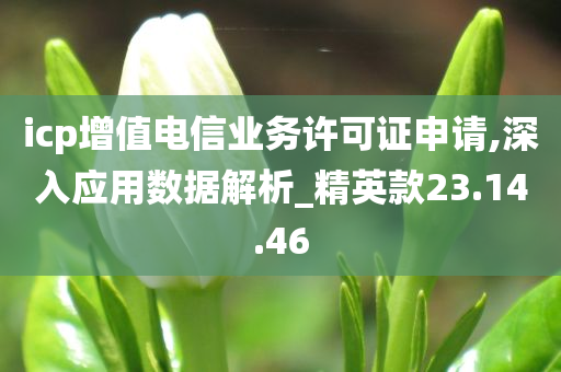 icp增值电信业务许可证申请,深入应用数据解析_精英款23.14.46