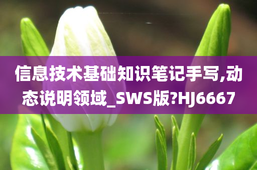 信息技术基础知识笔记手写,动态说明领域_SWS版?HJ6667