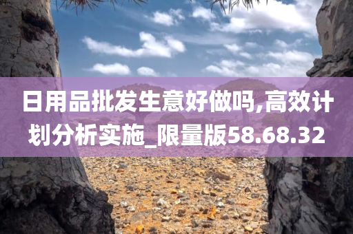 日用品批发生意好做吗,高效计划分析实施_限量版58.68.32