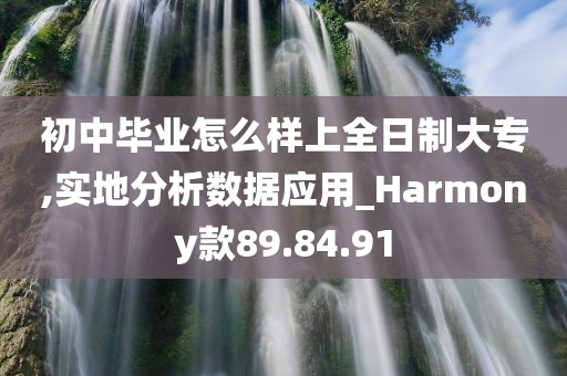 初中毕业怎么样上全日制大专,实地分析数据应用_Harmony款89.84.91