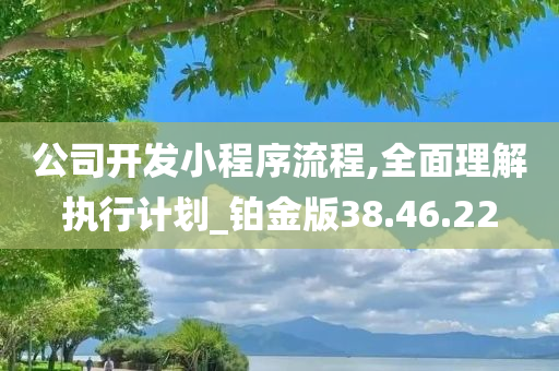 公司开发小程序流程,全面理解执行计划_铂金版38.46.22