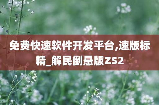 免费快速软件开发平台,速版标精_解民倒悬版ZS2