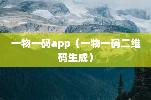 一物一码app（一物一码二维码生成）