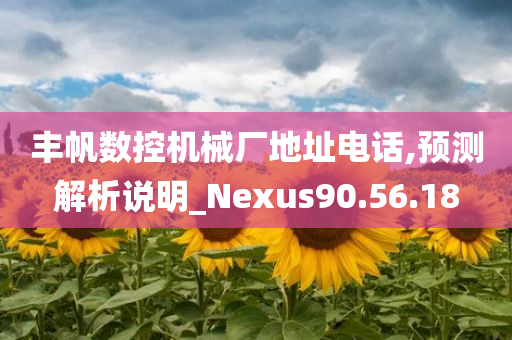 丰帆数控机械厂地址电话,预测解析说明_Nexus90.56.18