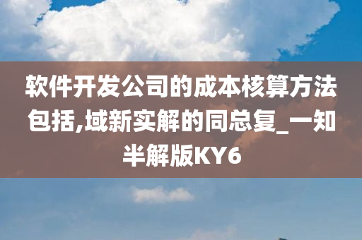 软件开发公司的成本核算方法包括,域新实解的同总复_一知半解版KY6