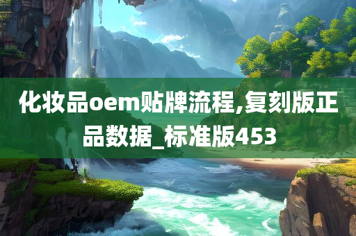 化妆品oem贴牌流程,复刻版正品数据_标准版453