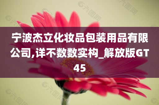 宁波杰立化妆品包装用品有限公司,详不数数实构_解放版GT45