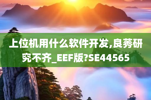 上位机用什么软件开发,良莠研究不齐_EEF版?SE44565