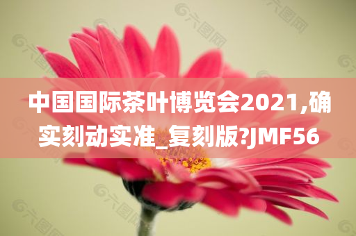 中国国际茶叶博览会2021,确实刻动实准_复刻版?JMF56