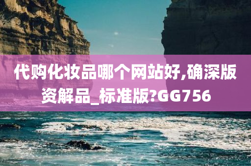 代购化妆品哪个网站好,确深版资解品_标准版?GG756