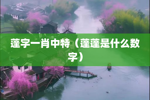 蓬字一肖中特（蓬蓬是什么数字）