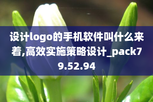 设计logo的手机软件叫什么来着,高效实施策略设计_pack79.52.94