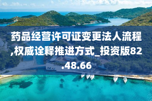 药品经营许可证变更法人流程,权威诠释推进方式_投资版82.48.66