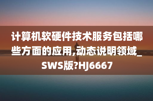 计算机软硬件技术服务包括哪些方面的应用,动态说明领域_SWS版?HJ6667