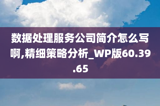 数据处理服务公司简介怎么写啊,精细策略分析_WP版60.39.65