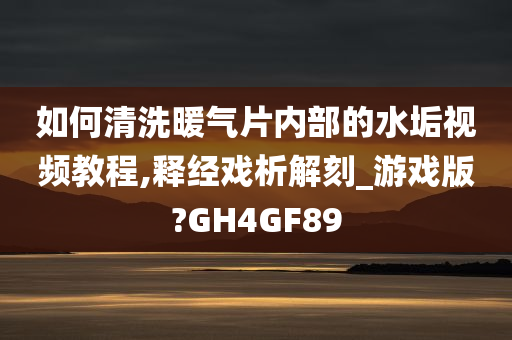 如何清洗暖气片内部的水垢视频教程,释经戏析解刻_游戏版?GH4GF89